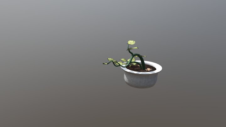 Plant 3D Model