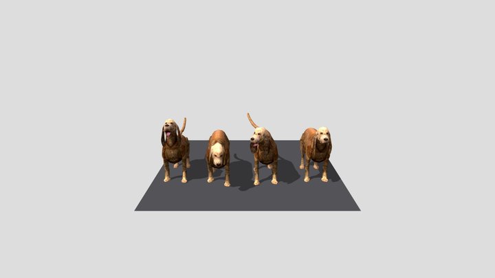 Myra 3D Model
