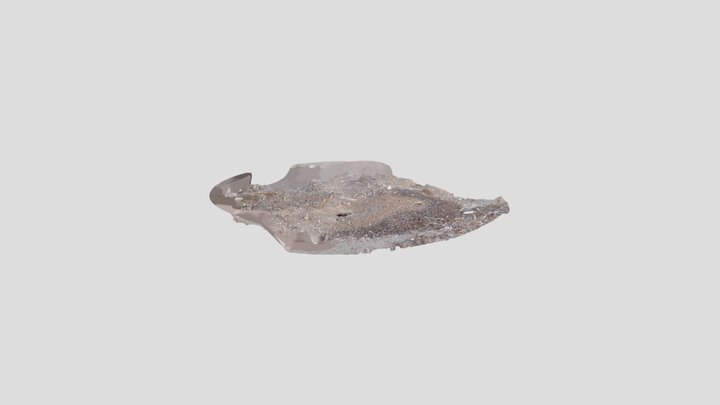 Large Ant Hill – Kostenloses 3D-Modell STL