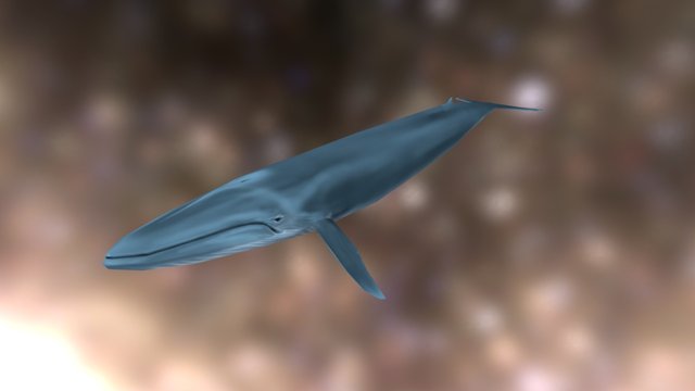 Stylized Blue Whale 3D Model