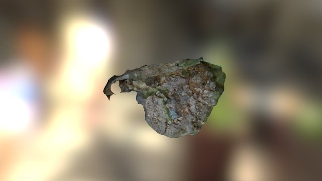 Site néolithique de La Perte du Cros (46) 3D Model