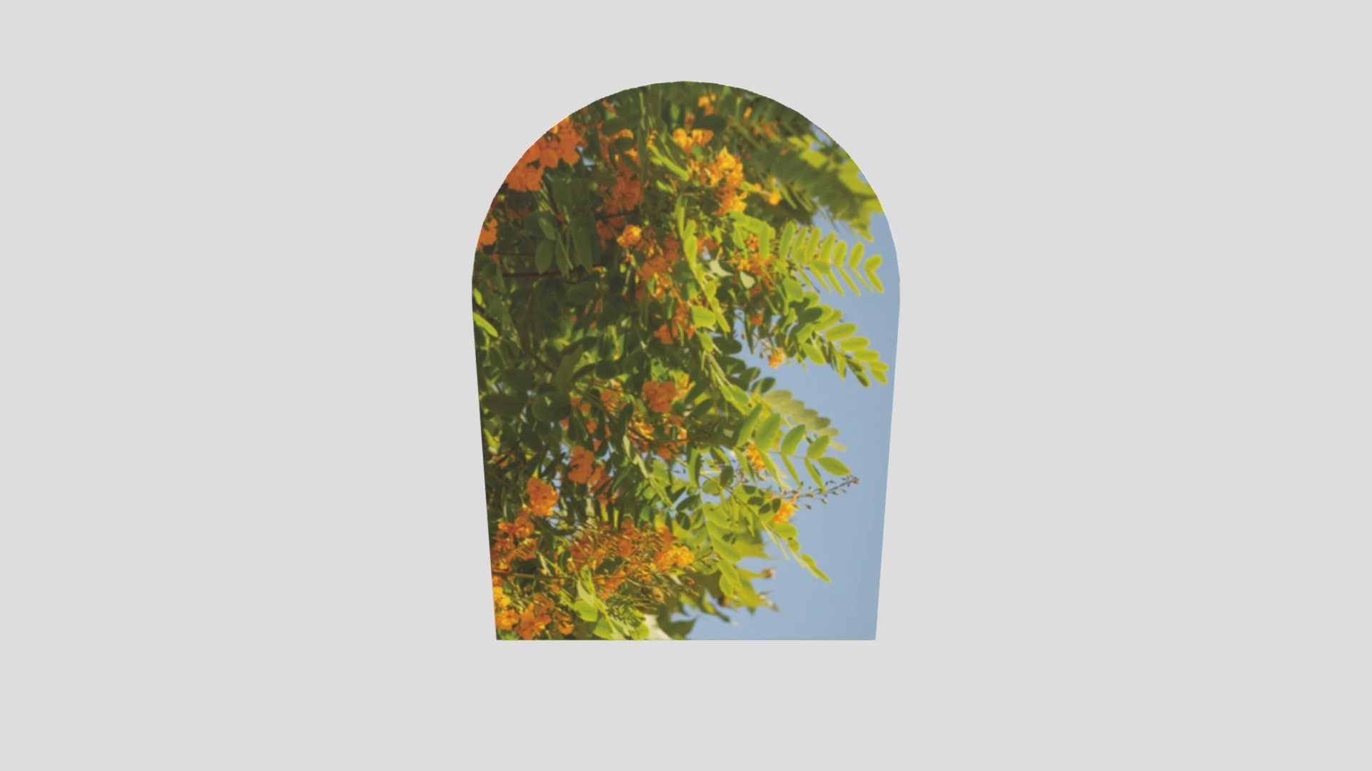 Arch poster orange garden - Buy Royalty Free 3D model by interior model ...