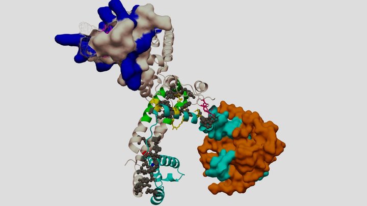 SF3a Splicing Factor Complex 3D Model