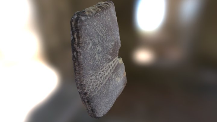 Gorget Bottom 3D Model