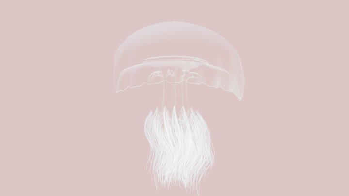 1 Nemopilema nomurai 3D Model