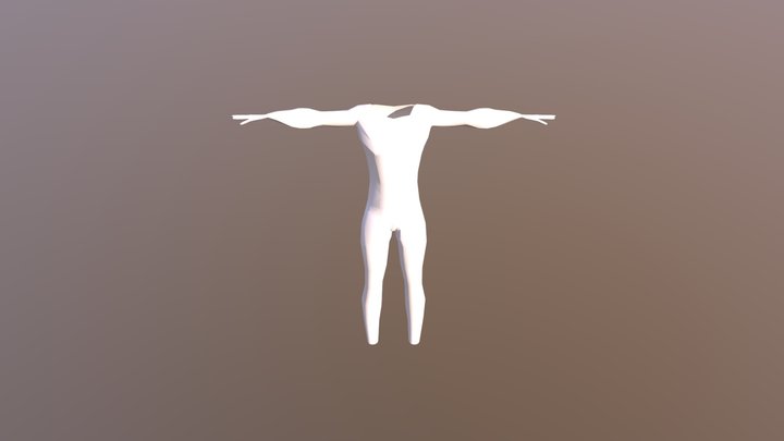 Human 3D Model