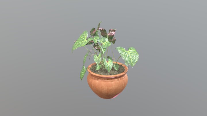Potted_plant_02_1k 3D Model