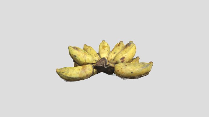 Viet Nam Banana bunch 3D Model