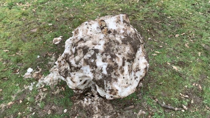 Giant Snowball - RealityScan - Photogrammetry. 3D Model