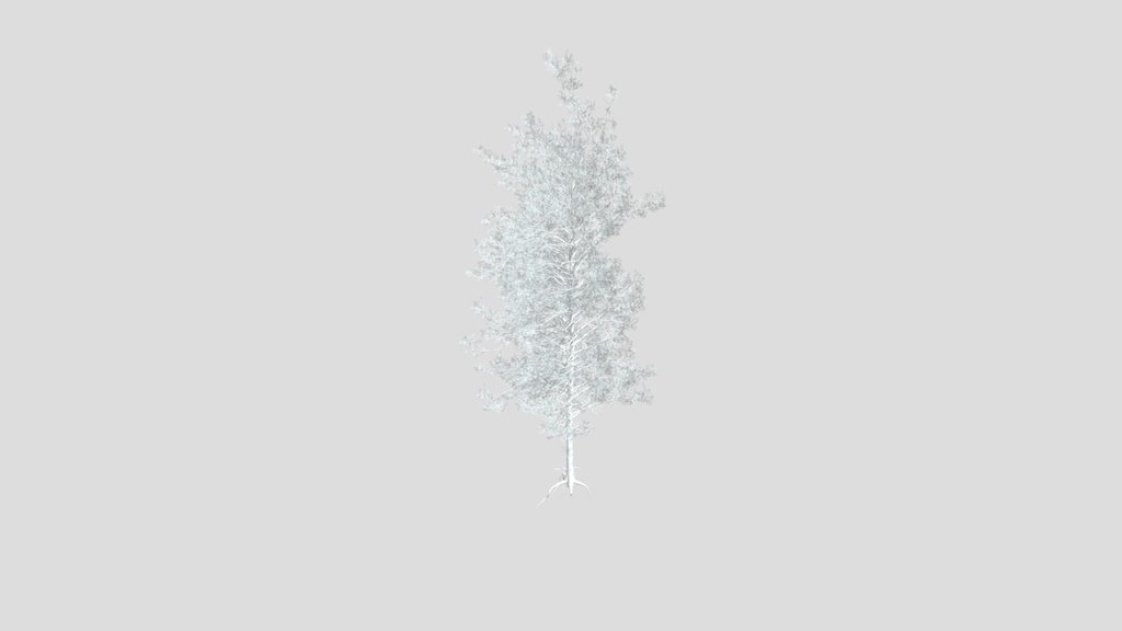Sj Frosted Evergreen Pine Tree