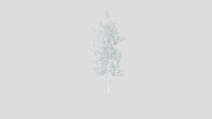 Sj Frosted Evergreen Pine Tree – Modello 3D gratuito STL