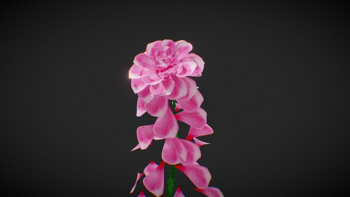 Infinite_Blossom 3D Model