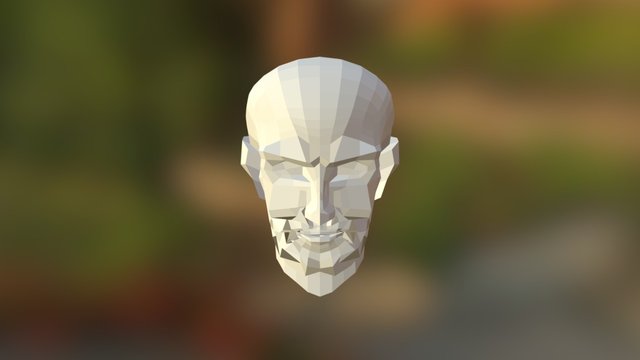 Basic human head 3D Model