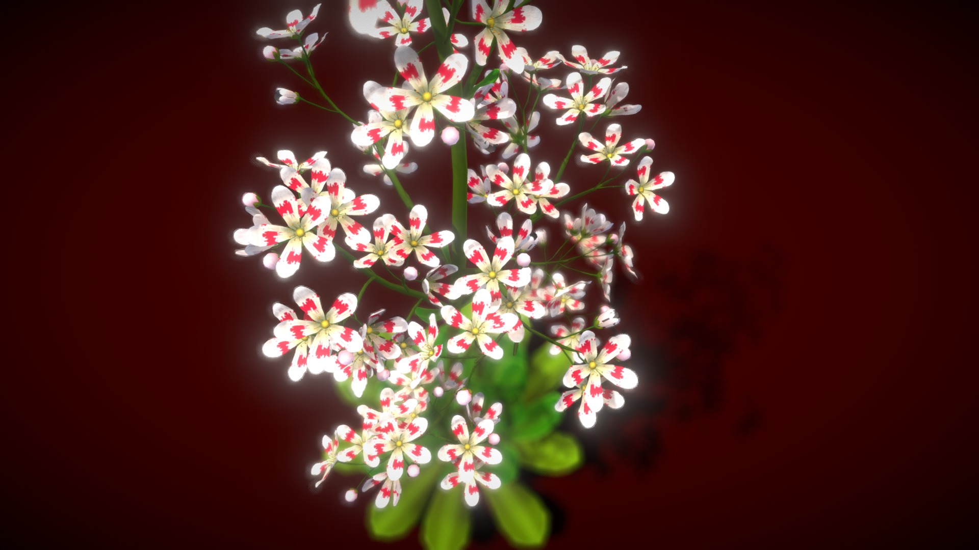 3D model F Lower Saxifraga Stolonifera - This is a 3D model of the F Lower Saxifraga Stolonifera. The 3D model is about a plant with flowers.