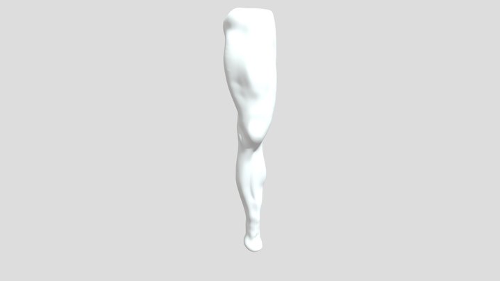Leggy10 3D Model