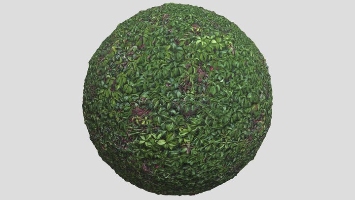 Hedge03