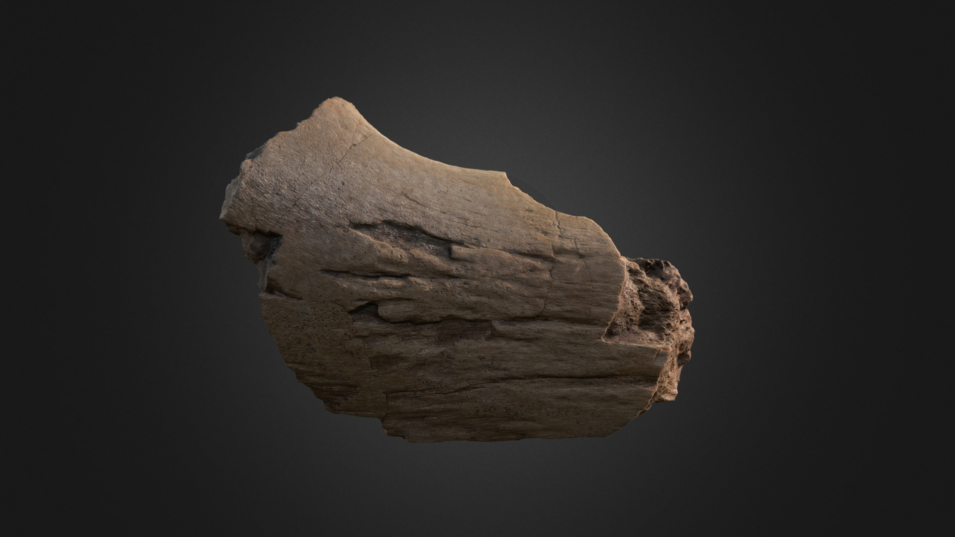 3D model Kritosaurus Jaw Fragment - This is a 3D model of the Kritosaurus Jaw Fragment. The 3D model is about a stone with a face carved into it.
