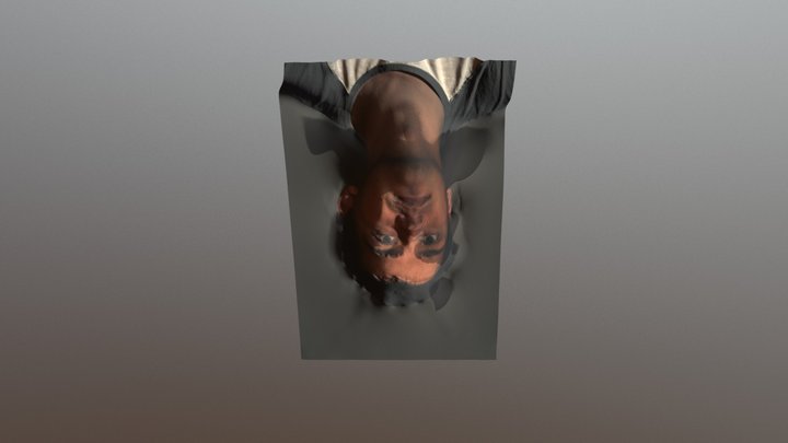 Test renamed model 3D Model