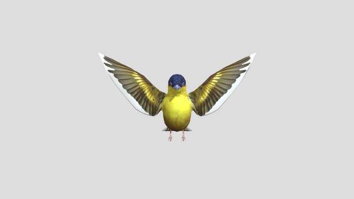 Bird88 3D Model