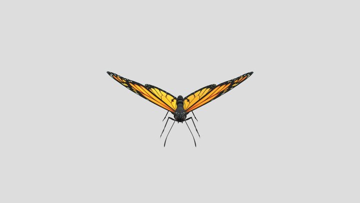 Kupu-kupu 3D Model