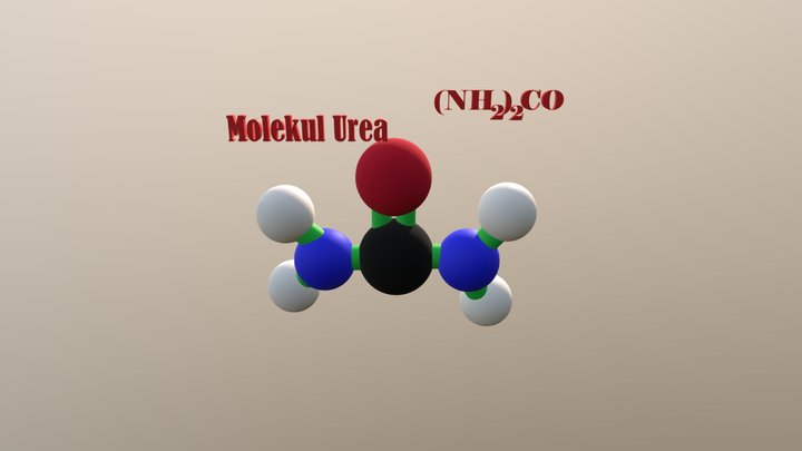 Molekul Urea by Eliyana Hasifu 3D Model