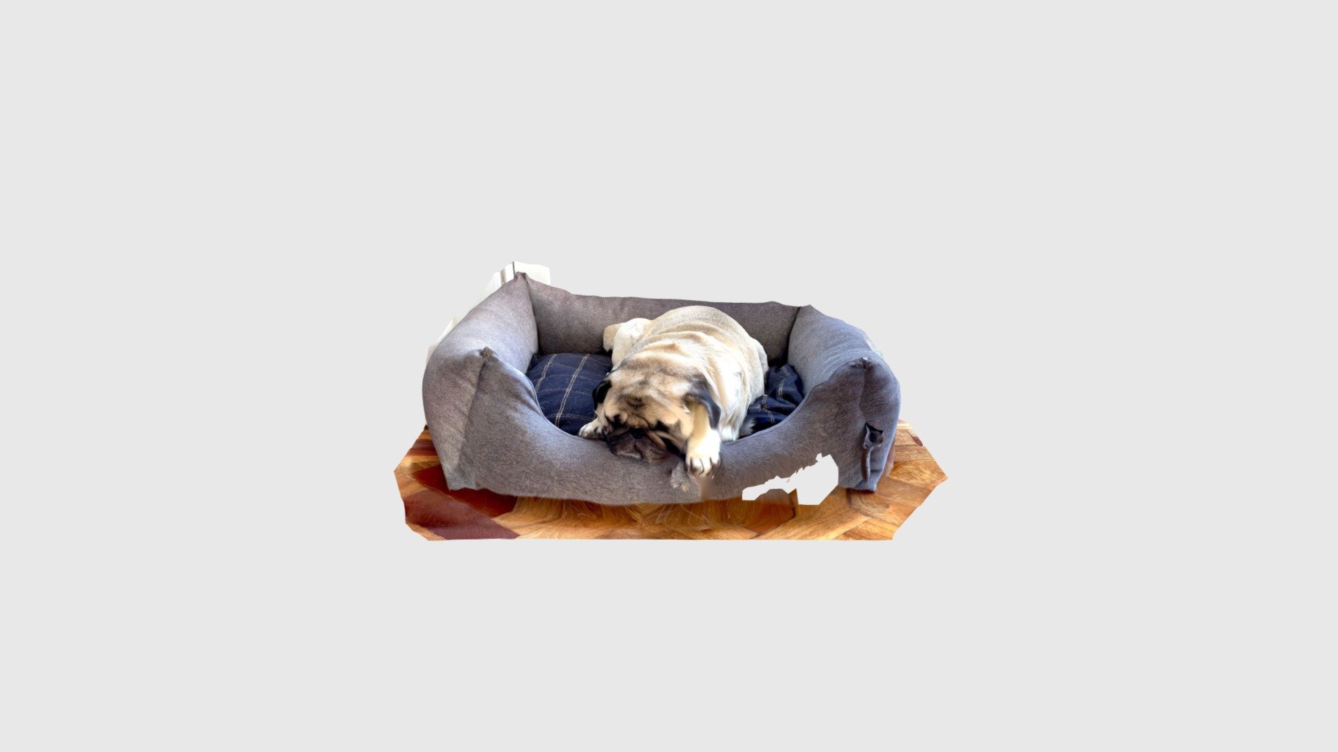 Fred sleeping