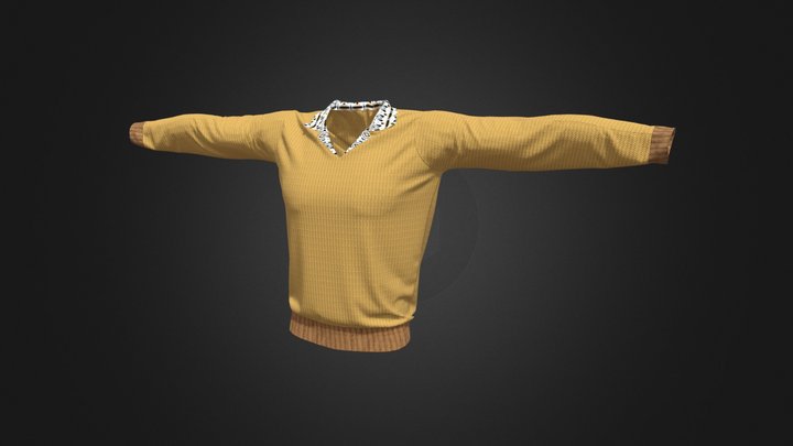 Suéter y camisa, vestimenta sport  de invierno 3D Model