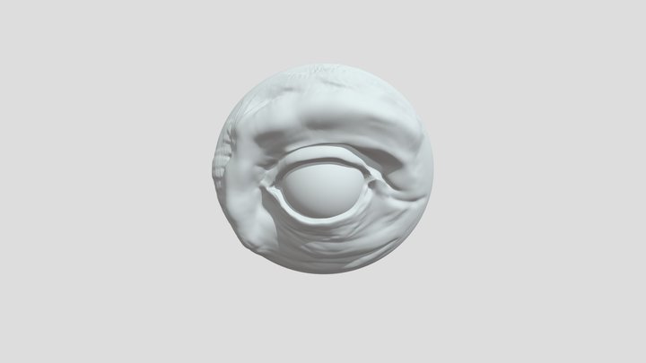 eye3_4 3D Model