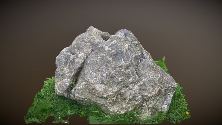 Scanned Rock 3D Model