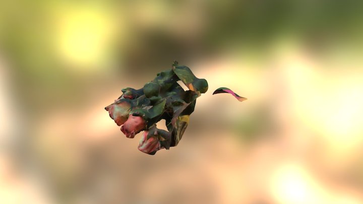 Roses 3D Model