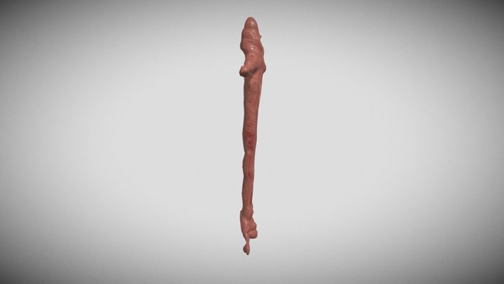 All tomorrows - Worm 3D Model