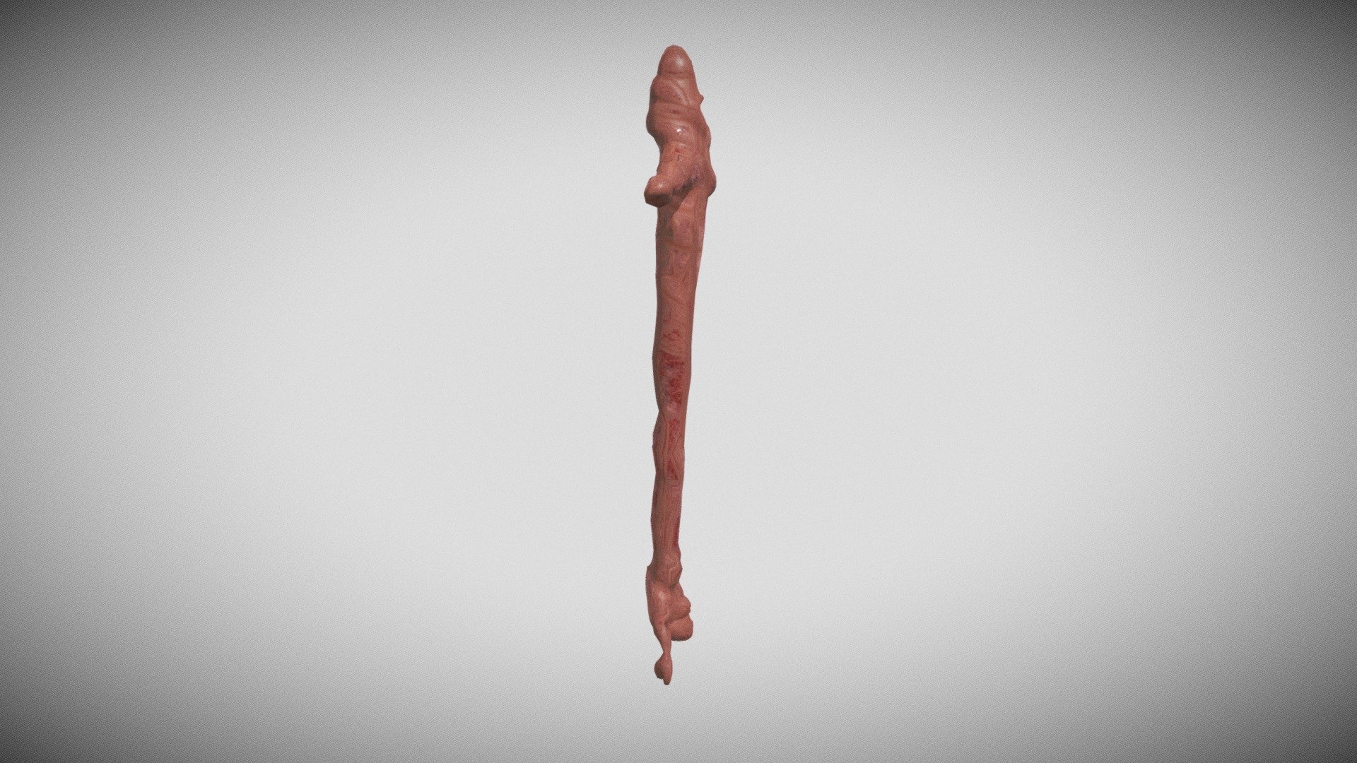 All tomorrows - Worm