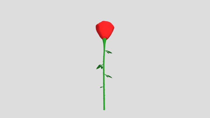 Rose For You 3D Model