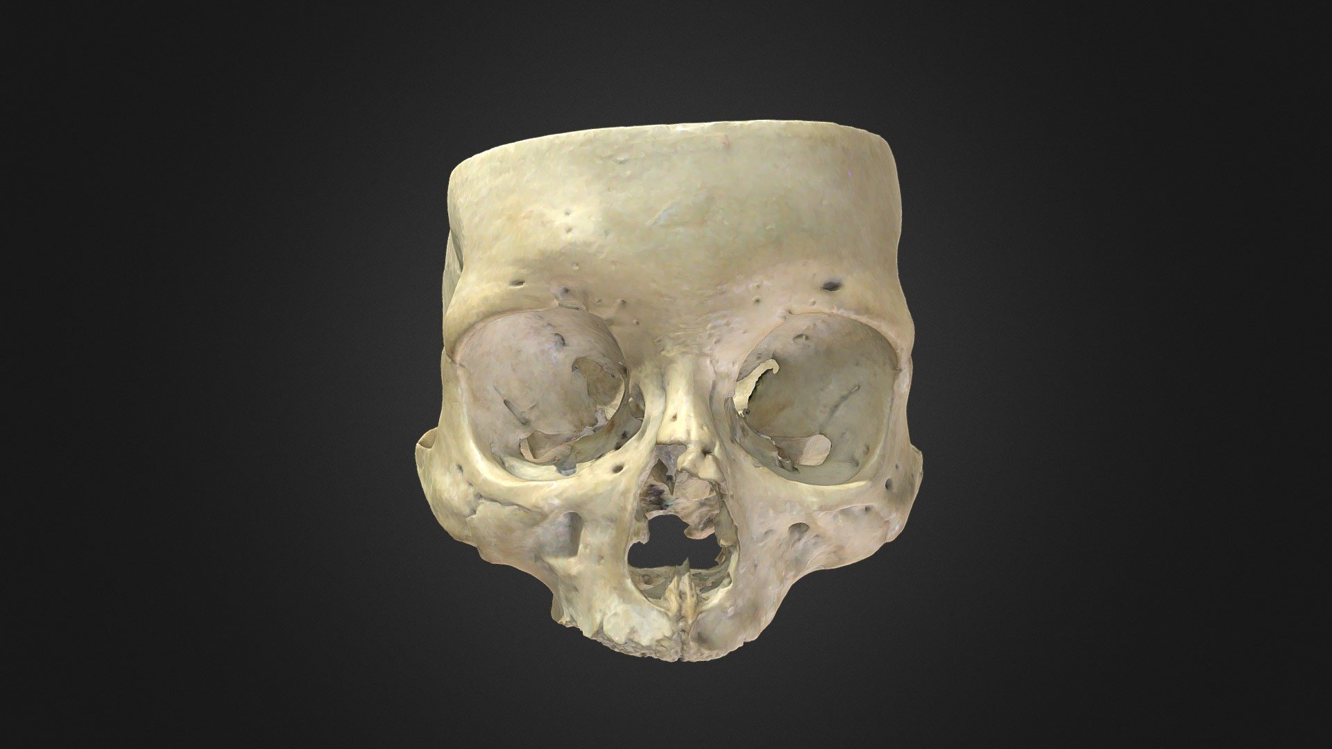 Base del Cráneo - Anatomía Humana 3D - UACH, image size:1920x1080