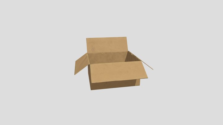 Cardboard Box 3D Model