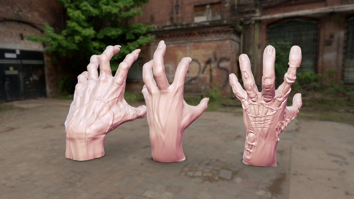 Zombie Hands 3D Model