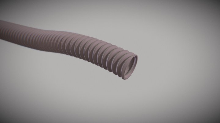 Dyno Hose 3D Model