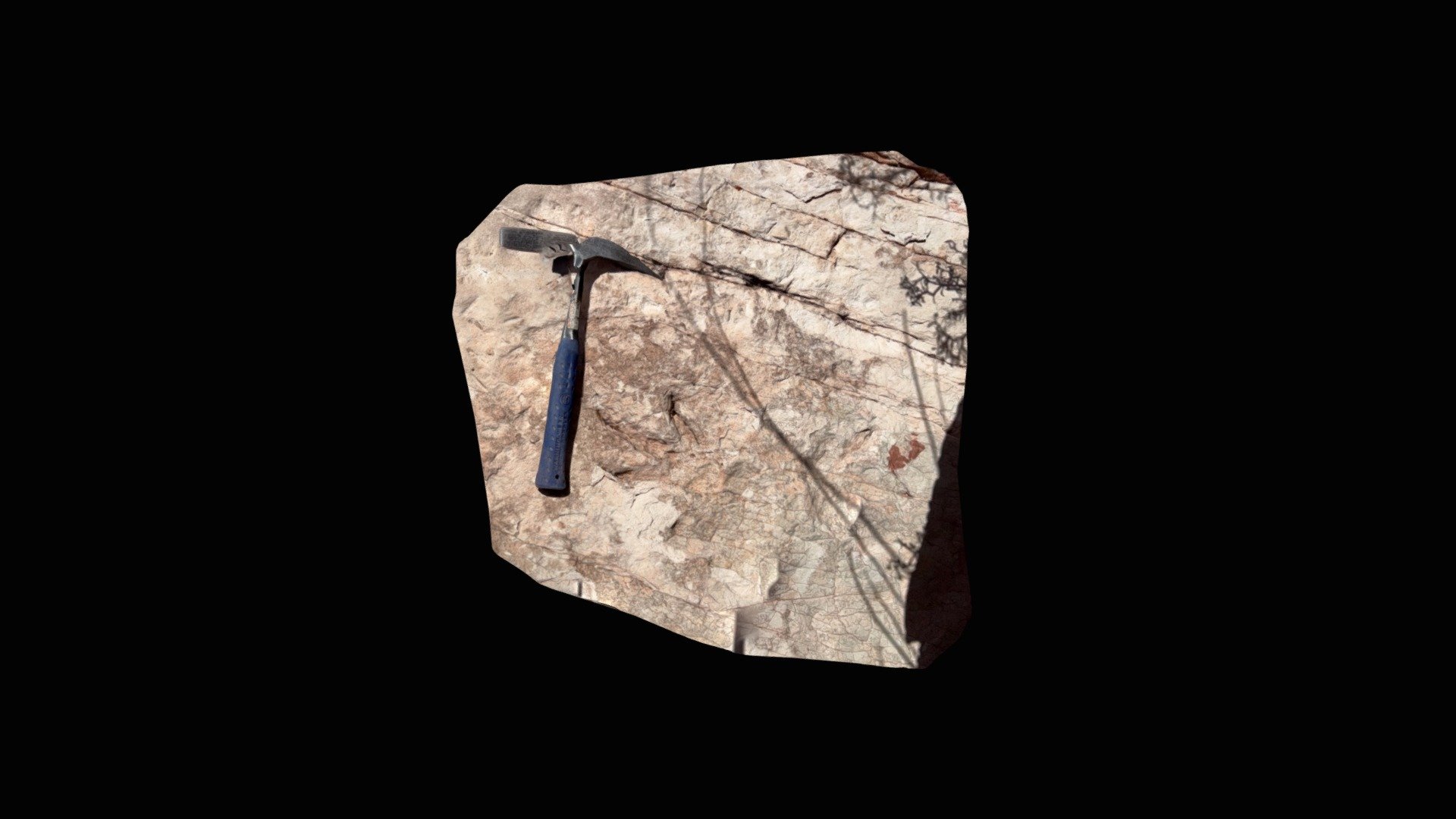 Kayenta Formation tracks lower bed