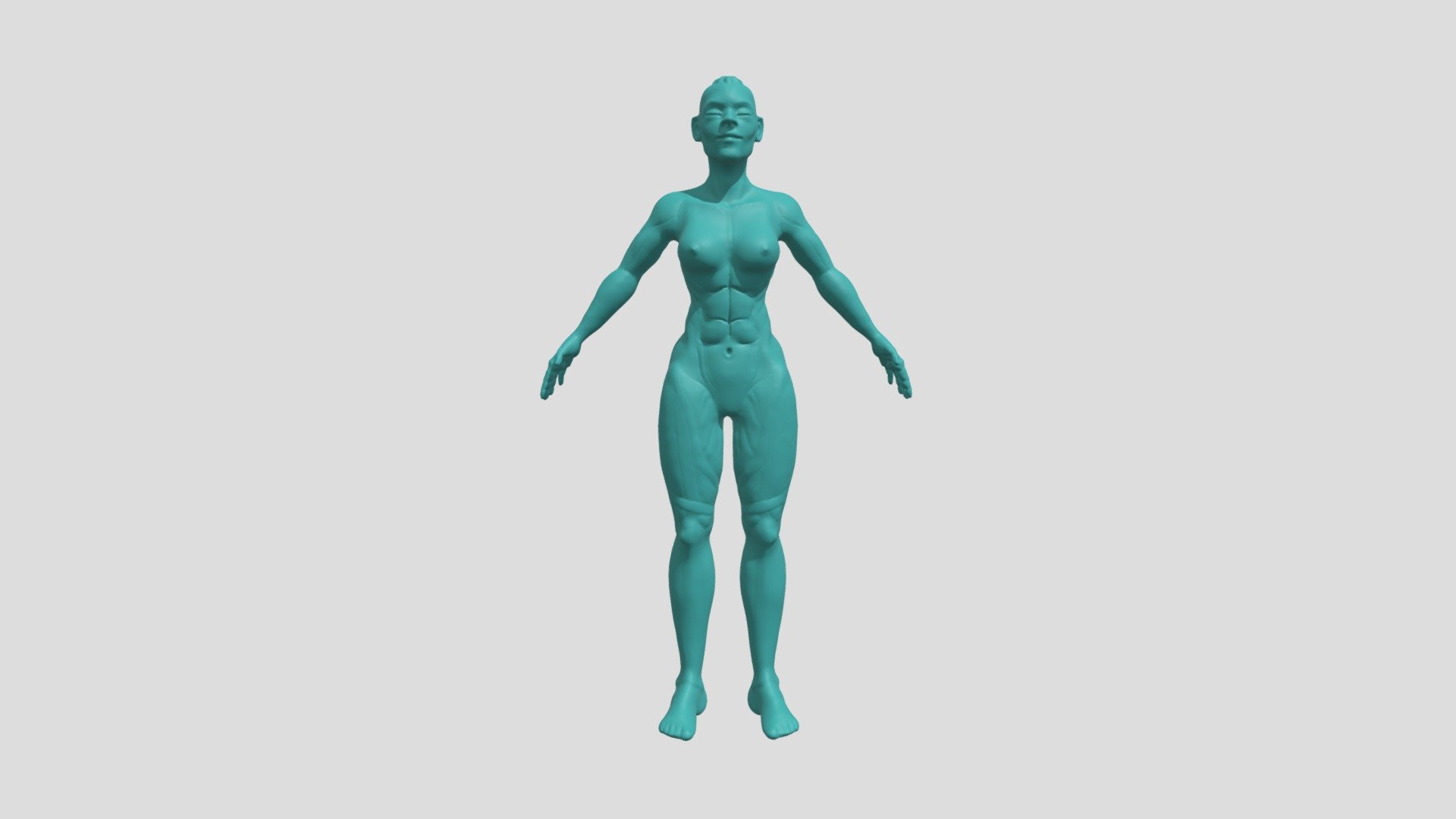 Anatomy 3d Model By Cizeresra [3955075] Sketchfab