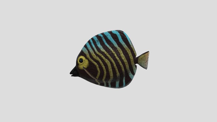 Fish 3D Model