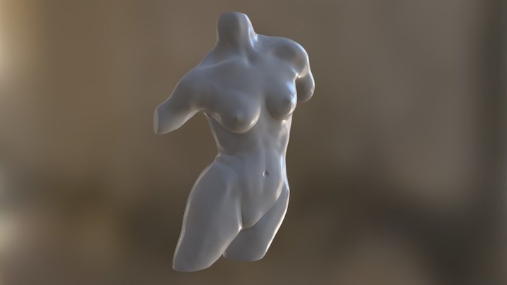 Female Form Study 3D Model