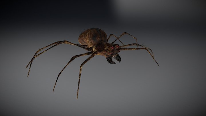 The incredible shrinking man- Giant spider 3D Model