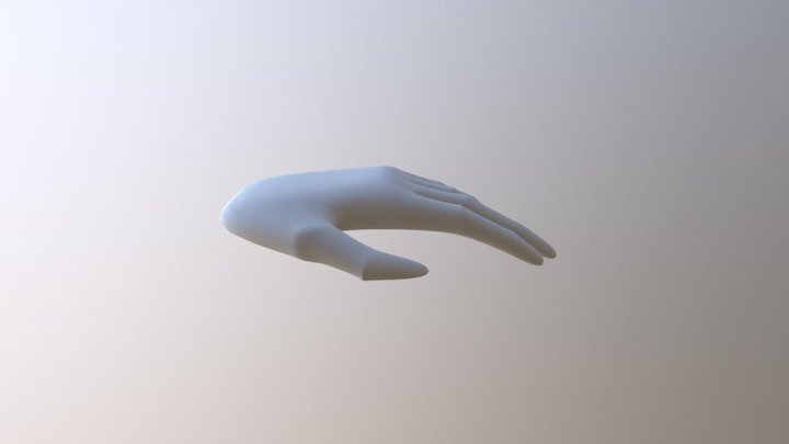 Hand Test 3D Model