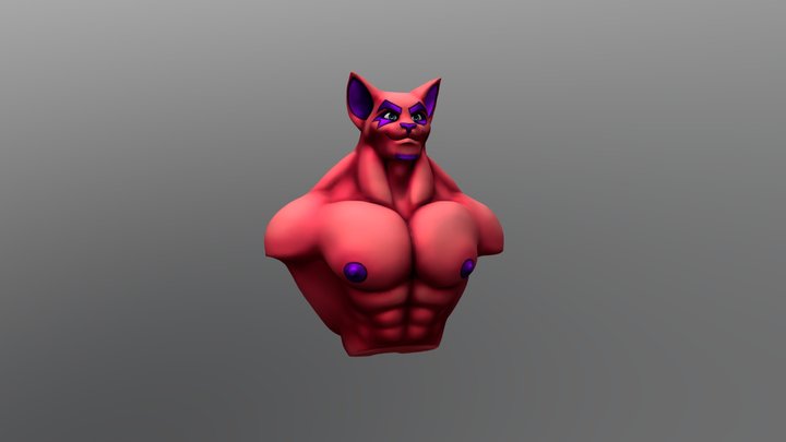 Tokes 3D Model