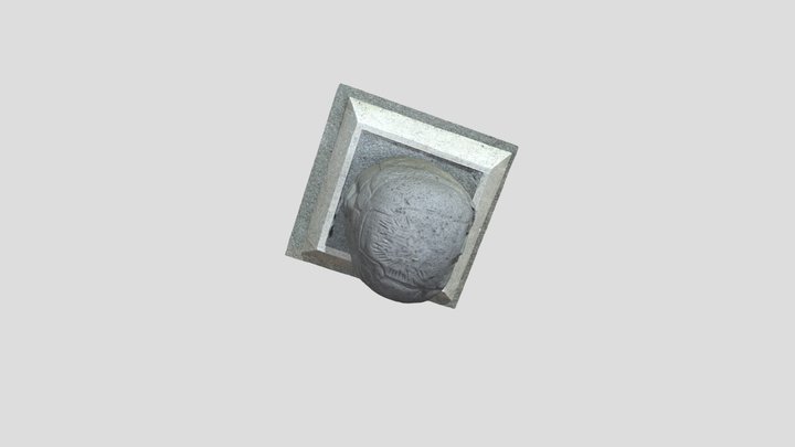 Cabeza_colosal 3D Model