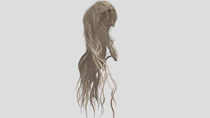 Long Wavy Hair 3D Model