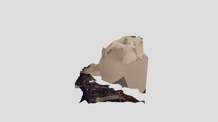 Poop 3D Model