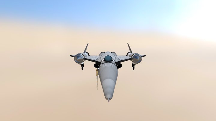 Blackbird B-X06 Mega Bird 3D Model