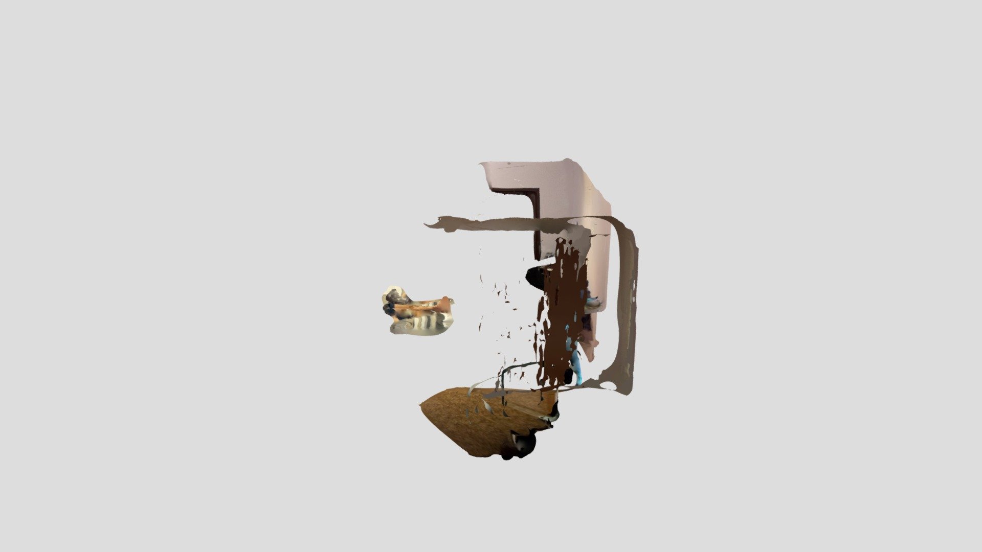 Polycam capture