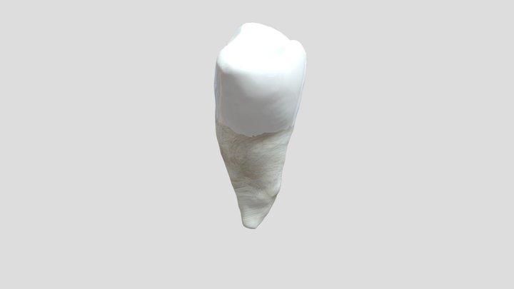 35 3D Model